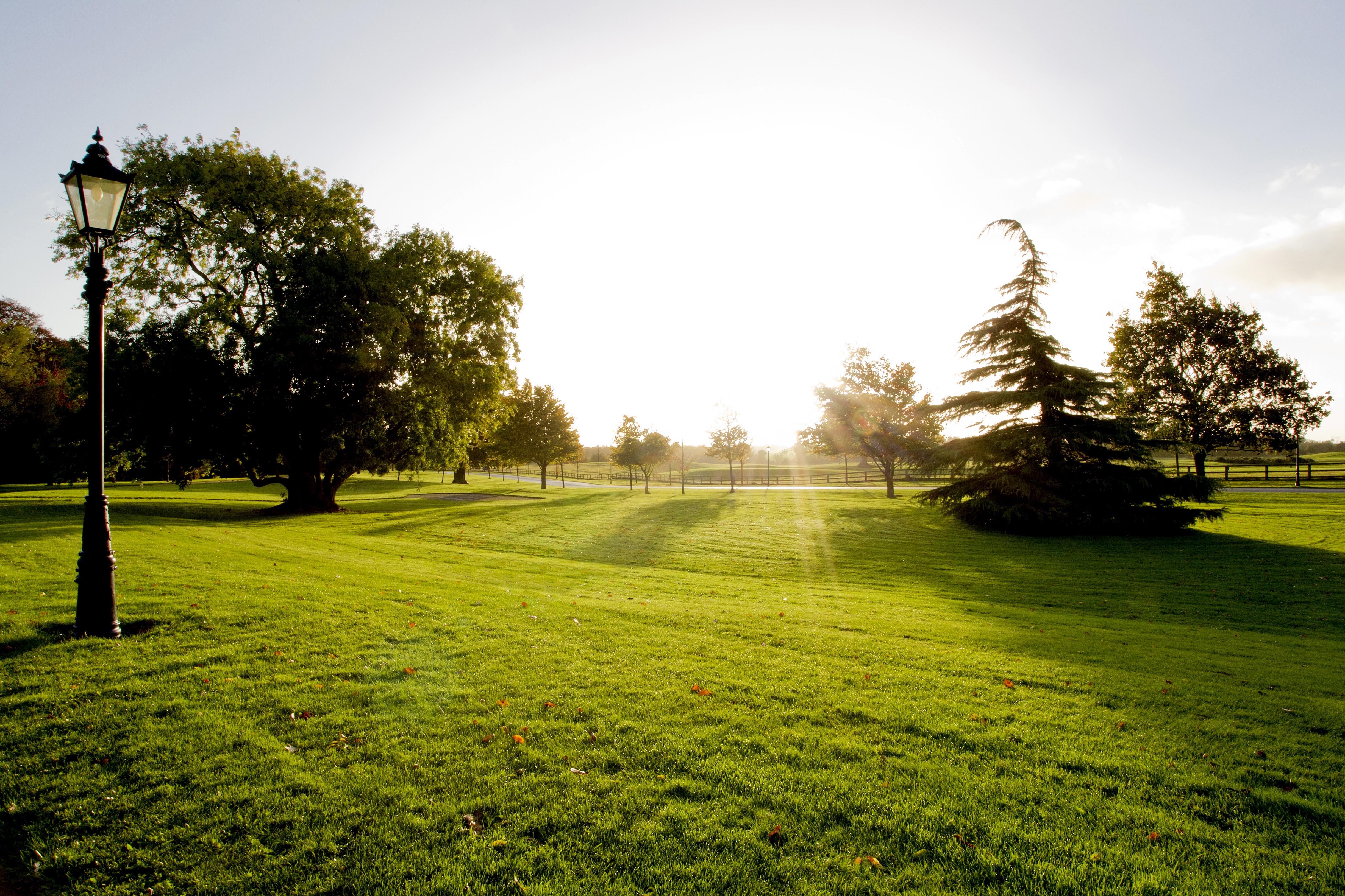 Moyvalley Hotel & Golf Resort Eksteriør billede
